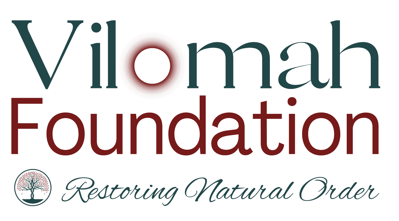 Logo of Vilomah Foundation