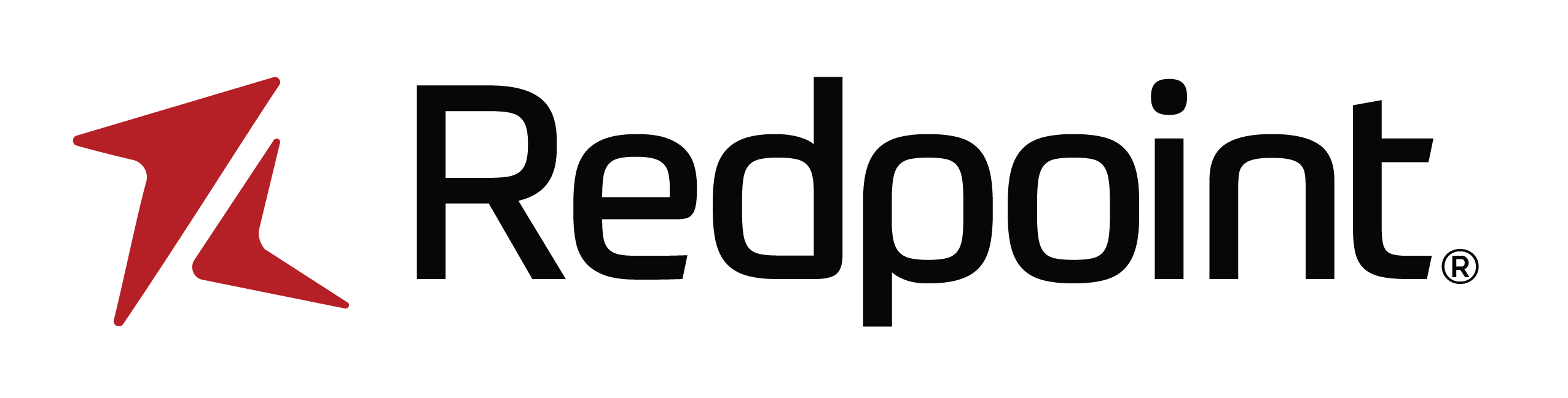 Redpoint Global logo